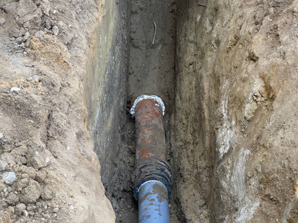 Best Professional water damage repair  in North Judson, IN