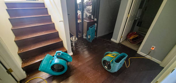Best Carpet water damage restoration  in North Judson, IN