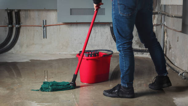 Best Mold removal after water damage  in North Judson, IN
