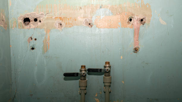 Best Ceiling water damage repair  in North Judson, IN